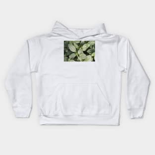 Leaves of Green Kids Hoodie